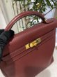 画像5: 【美品】HERMES エルメス ケリーアド GM フィヨルド ルージュアッシュ ゴールド金具 E刻印□ ヴィンテージ 中古 リュックサック バックパック デイパック ショルダーバッグ ハンドバッグ レディース 女性用 ブランド レッド 赤 レザー レア プレゼント ギフト バック (5)